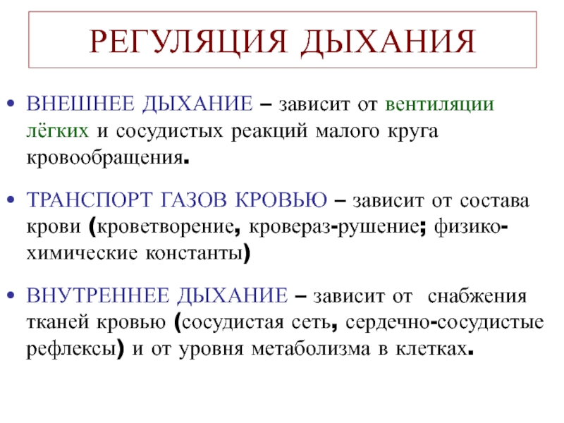 Как осуществляется регуляция дыхания. Транспорт газов кровью регуляция дыхания.