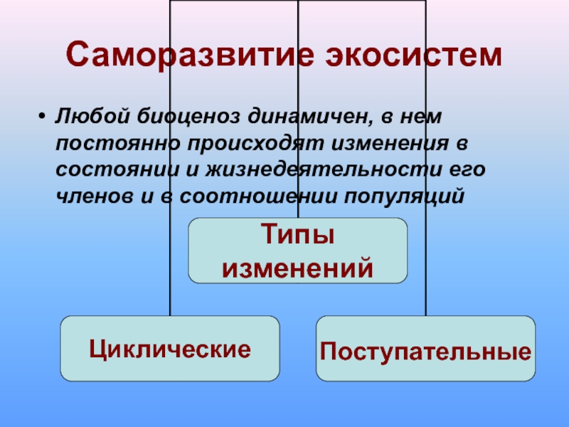 Саморазвитие экосистем сукцессии презентация