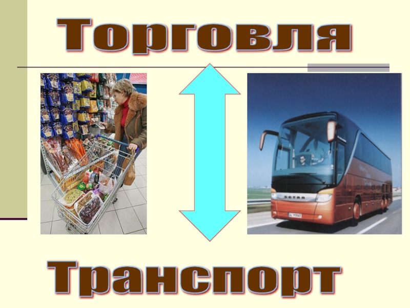 Транспортная торговля