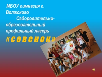 Оздоровительно-образовательный профильный лагерь Совенок (фотографии)