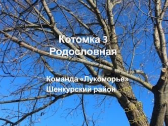 Родословная. Команда Лукоморье