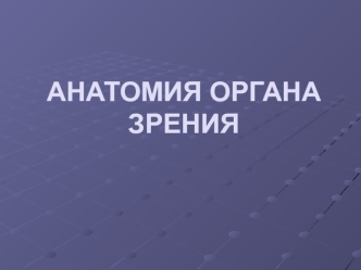 Анатомия органа зрения