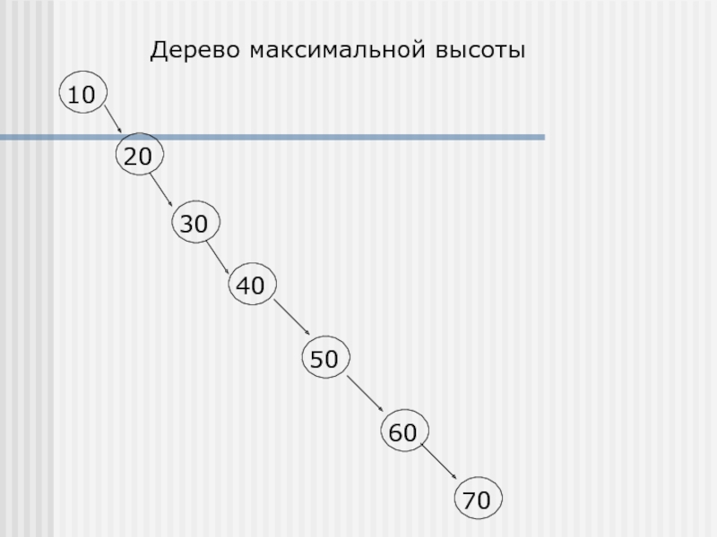 Максимально высокая. Высота дерева поиска. Дерево поиска онлайн. Максимальная высота деревьев в Подмосковье.