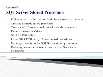 SQL Server Stored Procedure