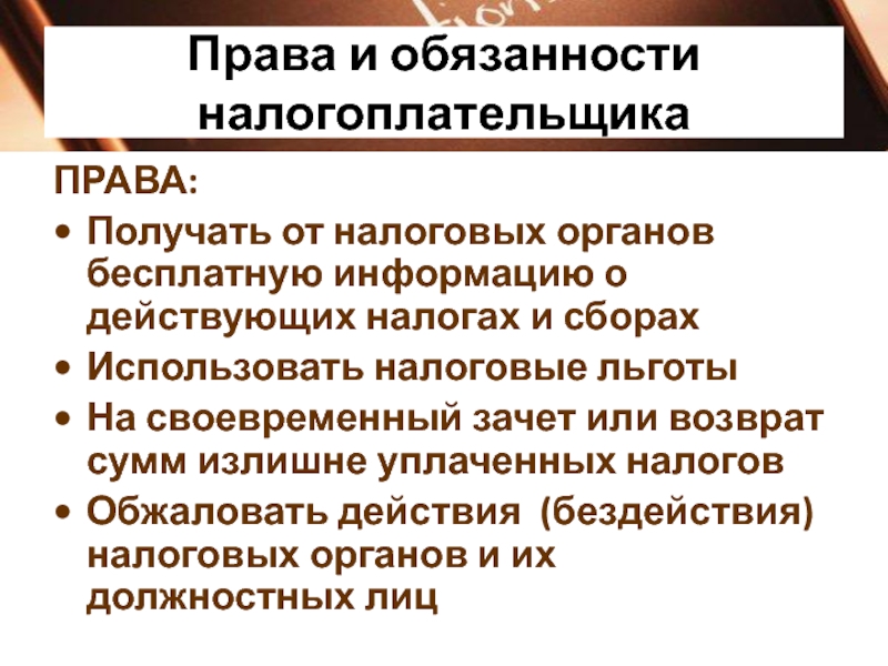 Права и обязанности налоговых органов презентация