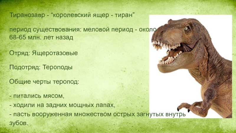 Слово динозавр означает страшный ящер. Тираннозавр рекс описание для детей 1. Информация о Тираннозавре. Теранозавр краткая информация. Тираннозавр кратко.