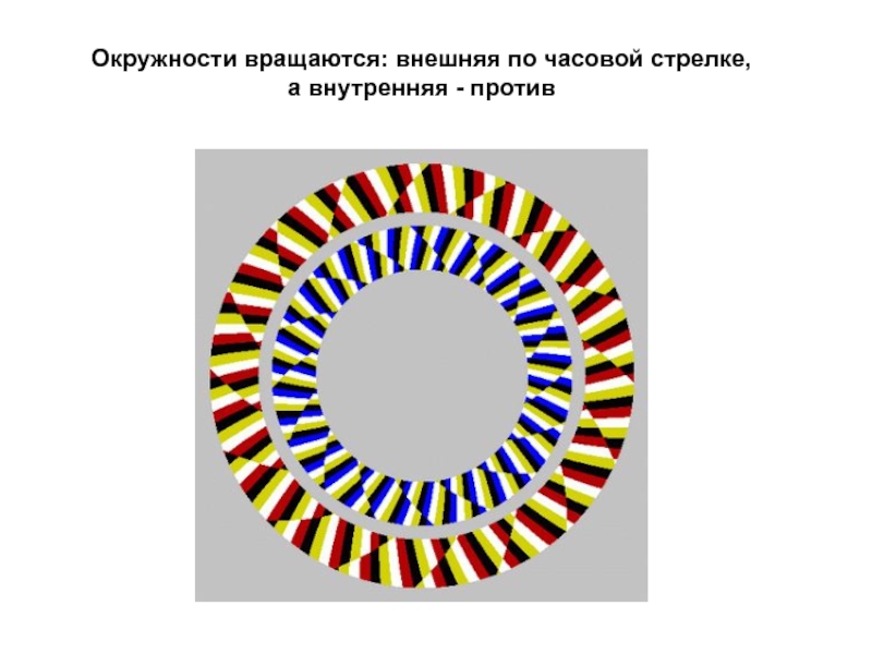 1 круг вращения. Оптические иллюзии презентация.