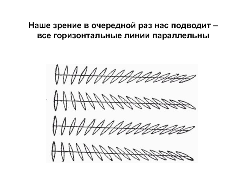 Горизонтальные параллельные линии. Тест с параллельными линиями. Иллюзия параллельности линий. Как понять что линии параллельны. Тег горизонтальной линии