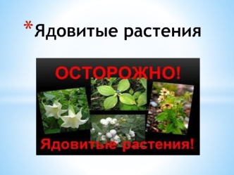 Презентация Microsoft PowerPoint