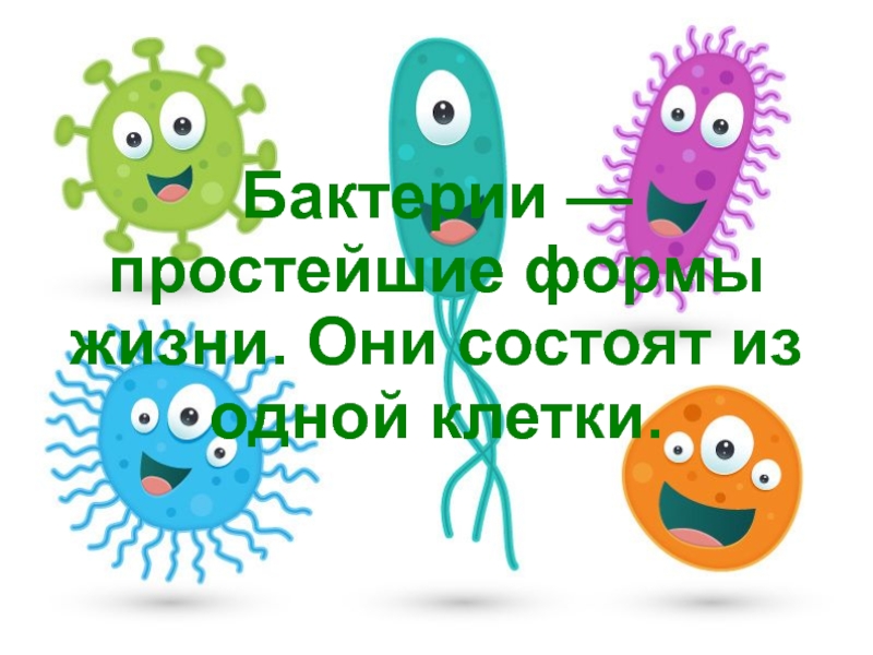 Жизнь бактерий. Простейшие бактерии. Образ жизни бактерий. Простейшая форма жизни. Бактерии по образу жизни.