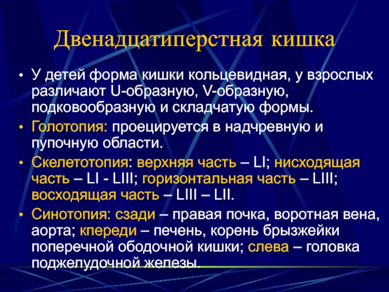 Голотопия. Голотопия двенадцатиперстной кишки. Двенадцатиперстная кишка голотопия. Голотопия ободочной кишки. Голотопия 12 перстной кишки.