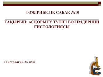 Асқорыту түтігі бөлімдерінің гистологиясы