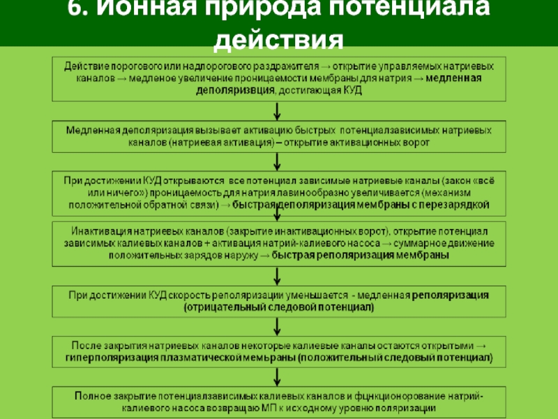 Развитие природного потенциала. Ионная природа мембранных потенциалов. Мембранные потенциалы и их ионная природа.. Для чего нужно потенциальное действие.