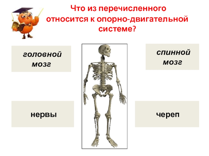 Зачем знать строение организма