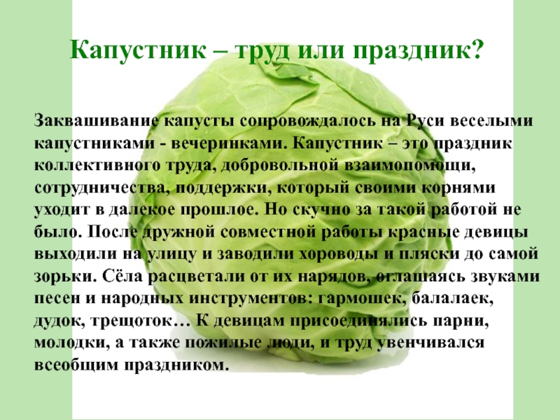 Заквашивание капусты сопровождалось на Руси веселыми капустниками - вечеринками. Капустник – это