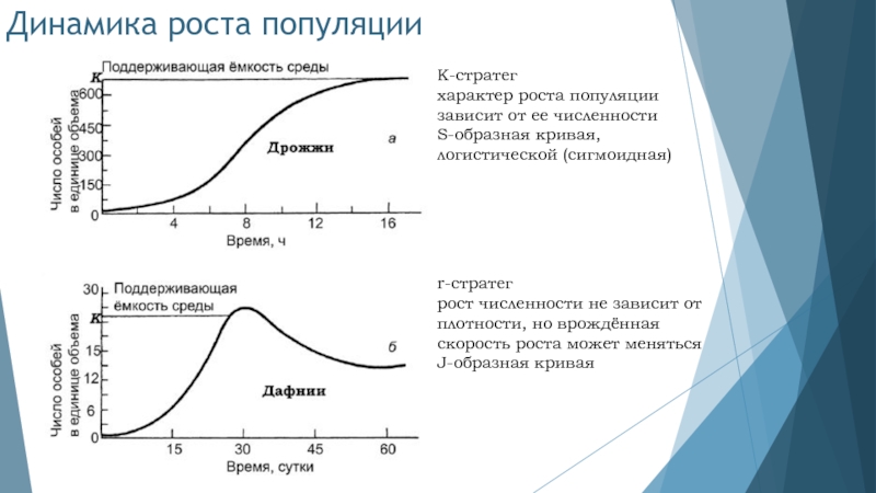 Какой метод для определения численности популяции показан на рисунке