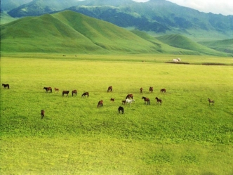 Презентация Ждыбысы мен &amp;#1241;рпі