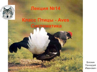 Класс Птицы - Aves. Систематика