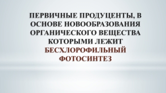 Первичные продуценты, в основе новообразования органического вещества которыми лежит бесхлорофильный фотосинтез