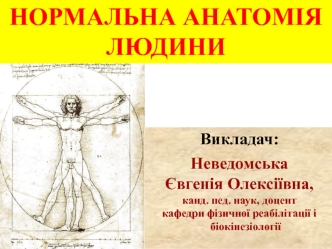 Рівні організації організму людини. Гістологія