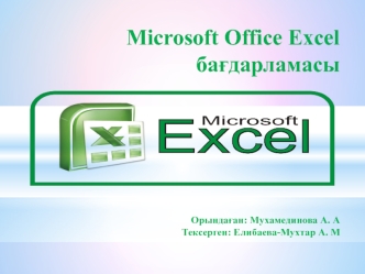 Microsoft Office Еxcel бағдарламасы