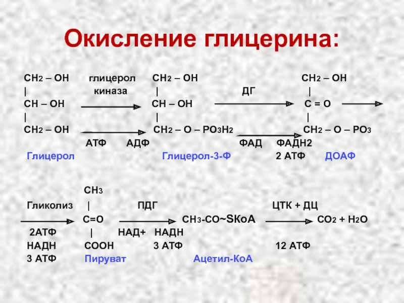 Сколько продуктов в реакции. Продуктом реакции окисления глицерина. Схема окисления глицерина. Схема окисления глицерола. Окисление глицерола до со2 и н2о схема.