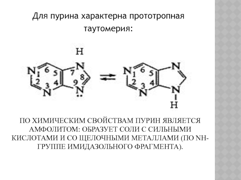 Структура пурина