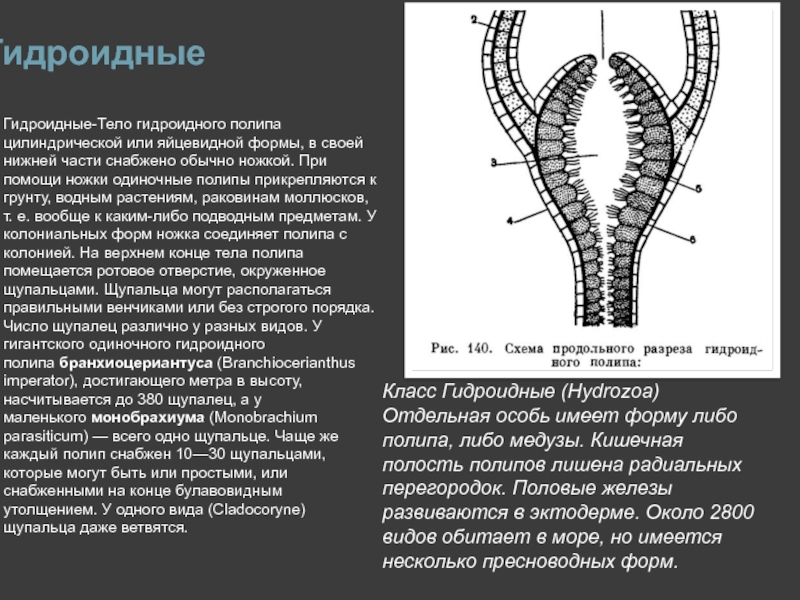 Могут ли части файла располагаться в разных местах диска