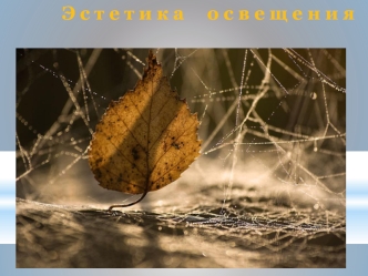 Эстетика освещения