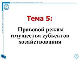 Правовой режим имущества субъектов хозяйствования