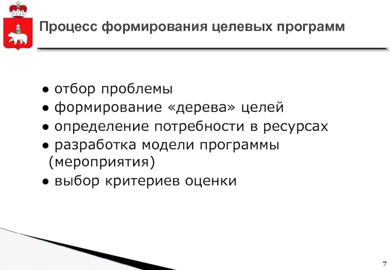 Функции целевых программ. Целевые программы. Сообщение целевые программы.