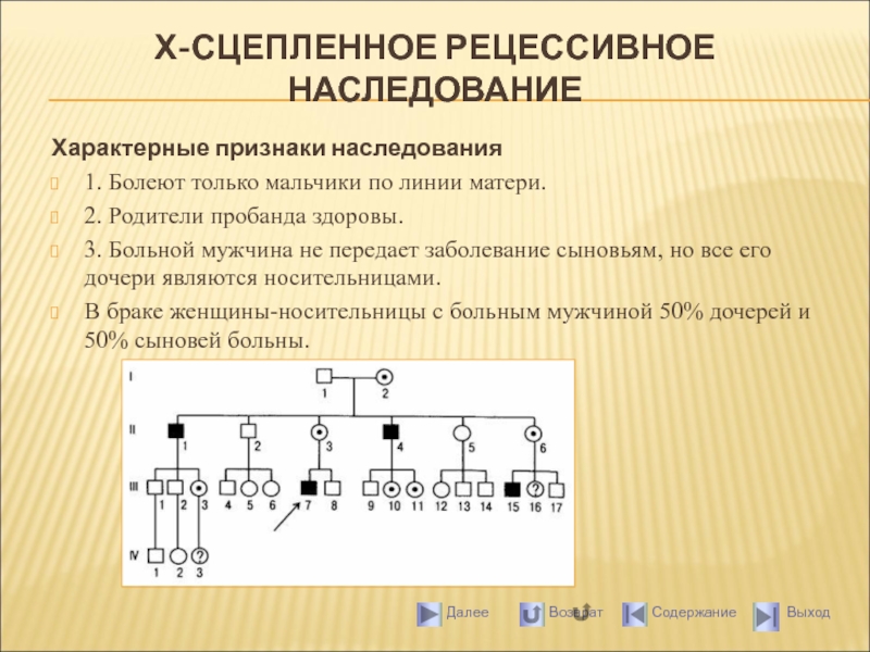 Х сцепленный рецессивный тип наследования схема