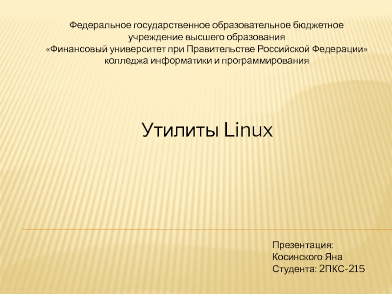 Презентация на тему утилиты