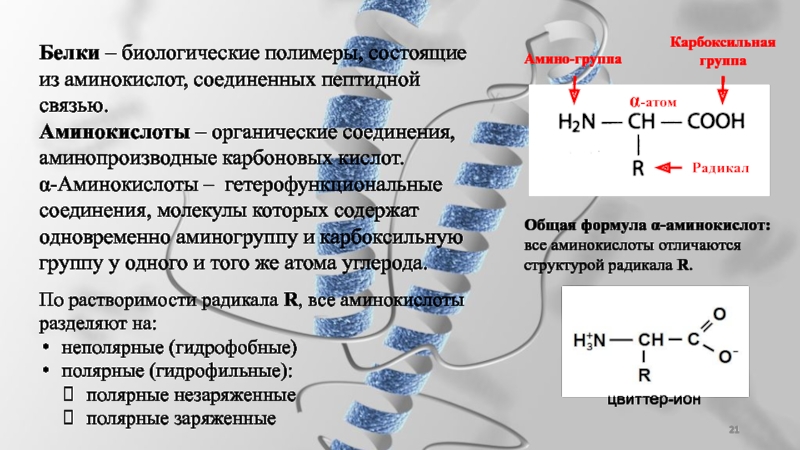 Аминокислоты и белки презентация по химии 9 класс