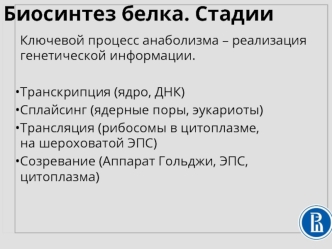 Биосинтез белка