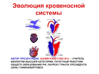 Эволюция кровеносной системы