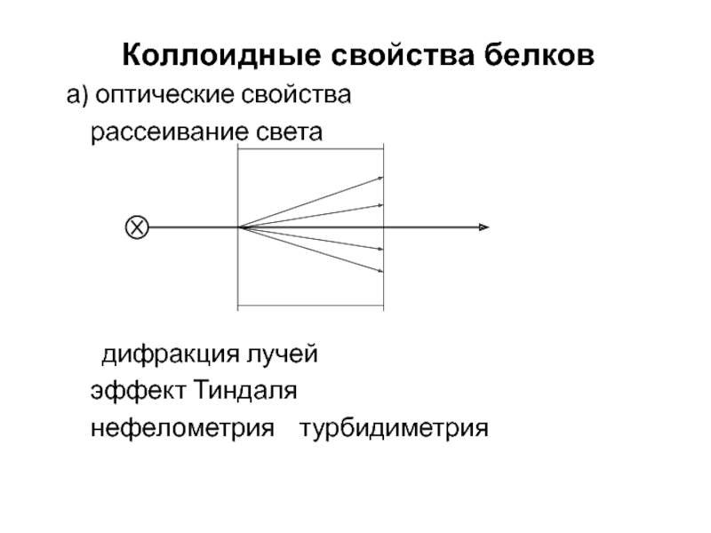 Нефелометрия и турбидиметрия презентация