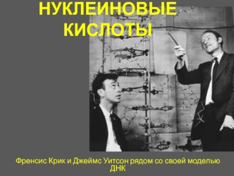 Нуклеиновые кислоты