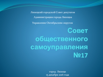 Совет общественного самоуправления № 17