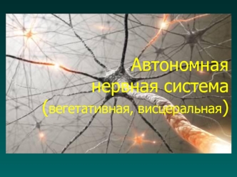 Автономная нервная система (вегетативная, висцеральная). Главные функции АНС