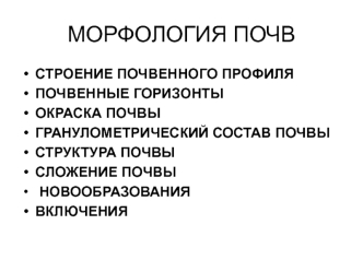 Морфология почв