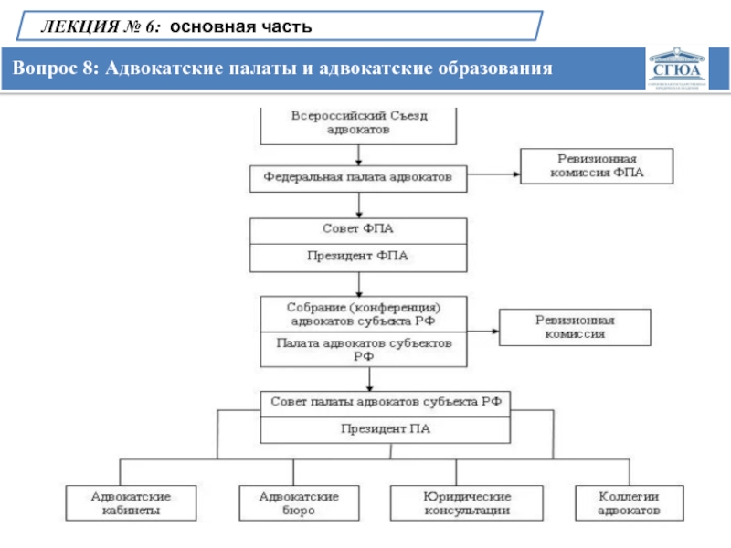 Структура коллегии адвокатов схема