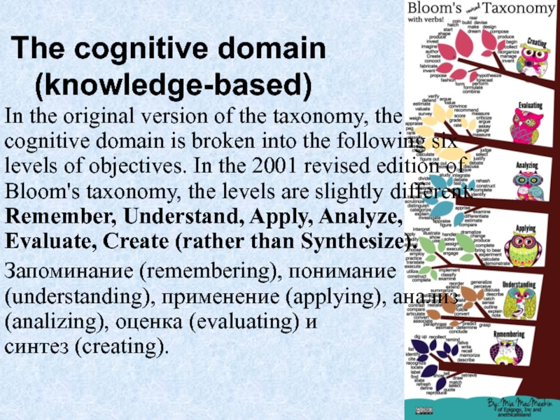The cognitive domain  (knowledge-based)  In the original version of