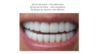 Зубы. Уход за зубами