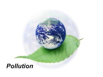 Pollution in our environment