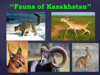 Fauna of Kazakhstan