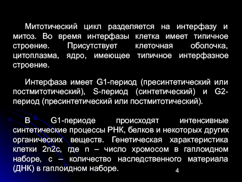 Интерфаза ядро. Процессы происходящие в интерфазе. Что происходит во время интерфазы. Митотический цикл периоды.