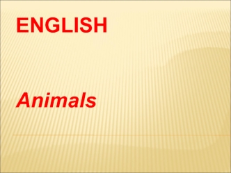 English animals