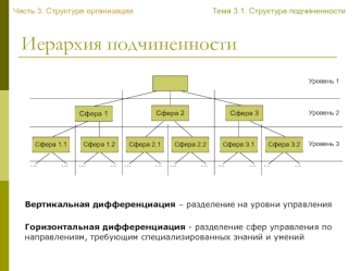 Структура организации. Часть 3. Иерархия подчиненности