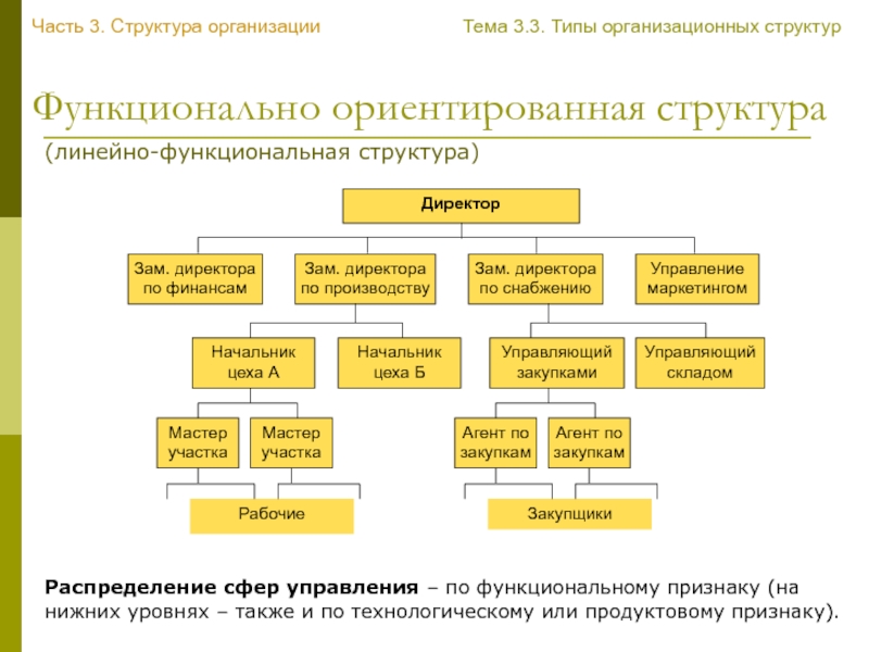 Схема подчиненности на предприятии